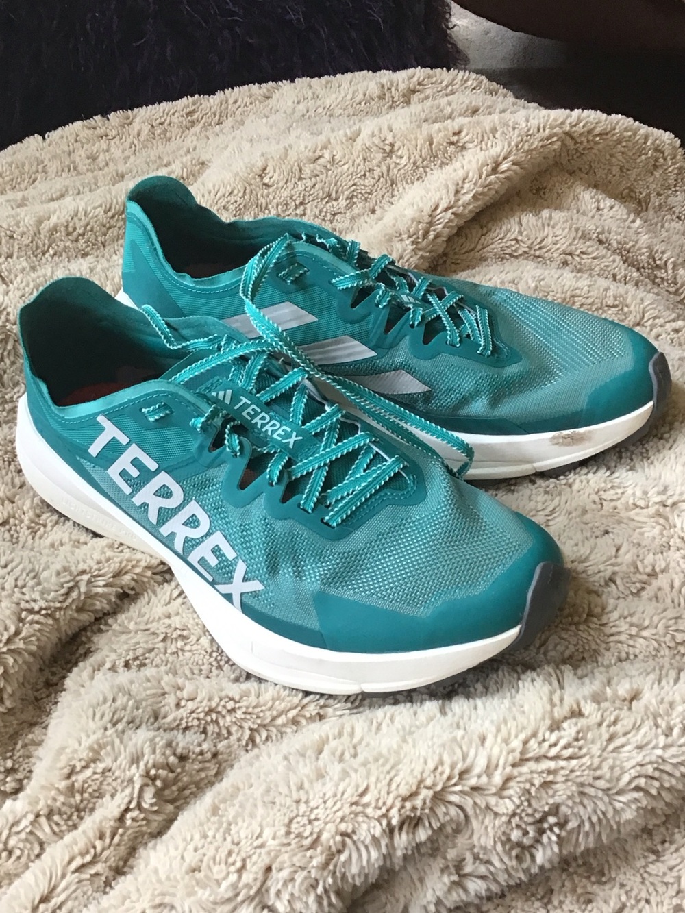 Adidas TERREX Teal Trail Running Shoes Used